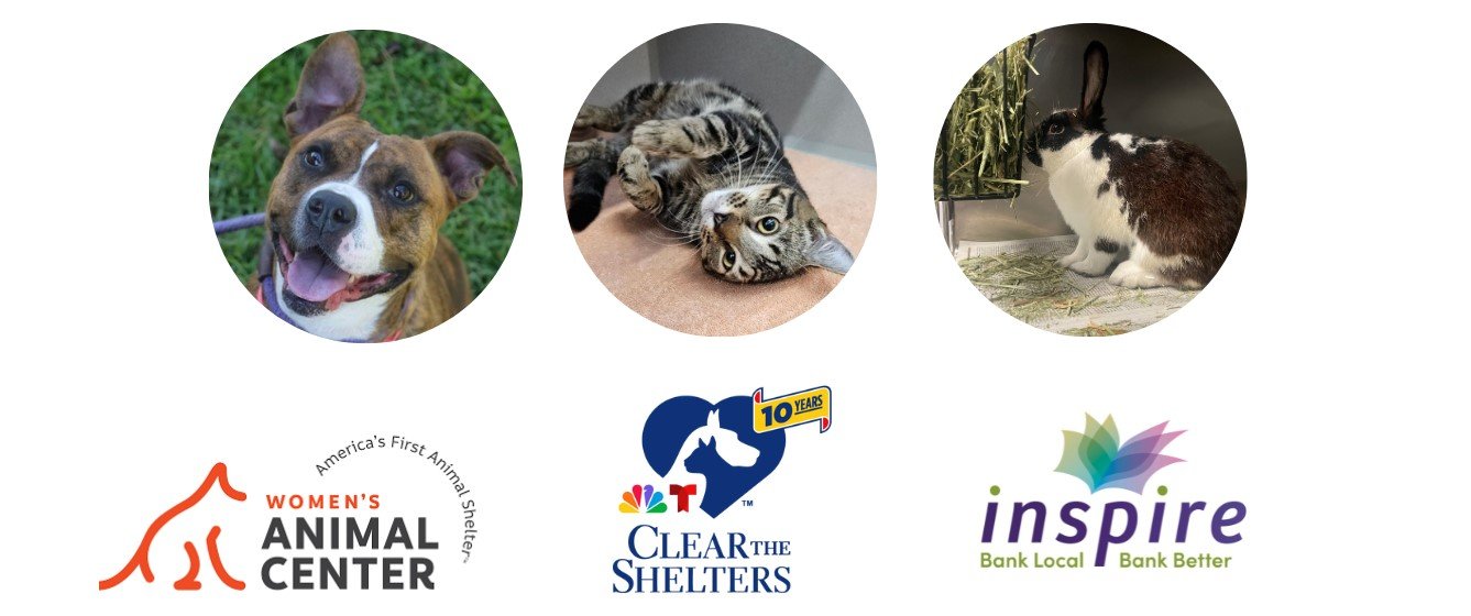 Clear the Shelters 