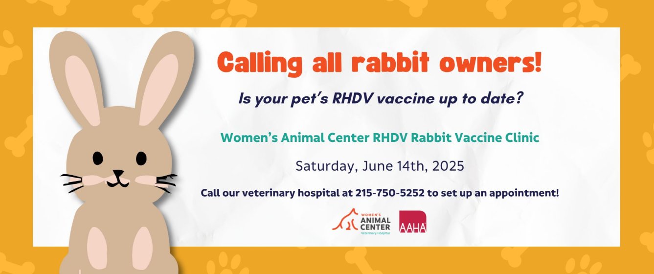 Women's Animal Center RHDV Rabbit Vaccine Clinic. Saturday, June 14th 2025. Call 215-750-5252 to make an appointment.