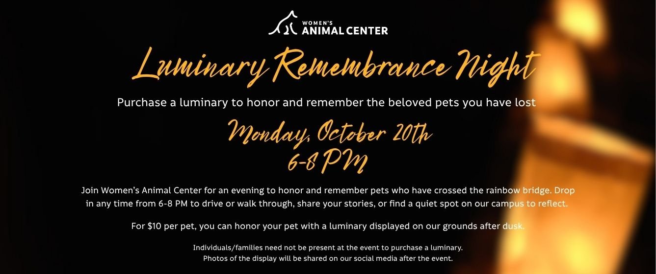 Women's Animal Center Luminary Remembrance Night. Monday, October 20th. Purchase a luminary to honor and remember the beloved pets you have lost, 6-8 PM. 