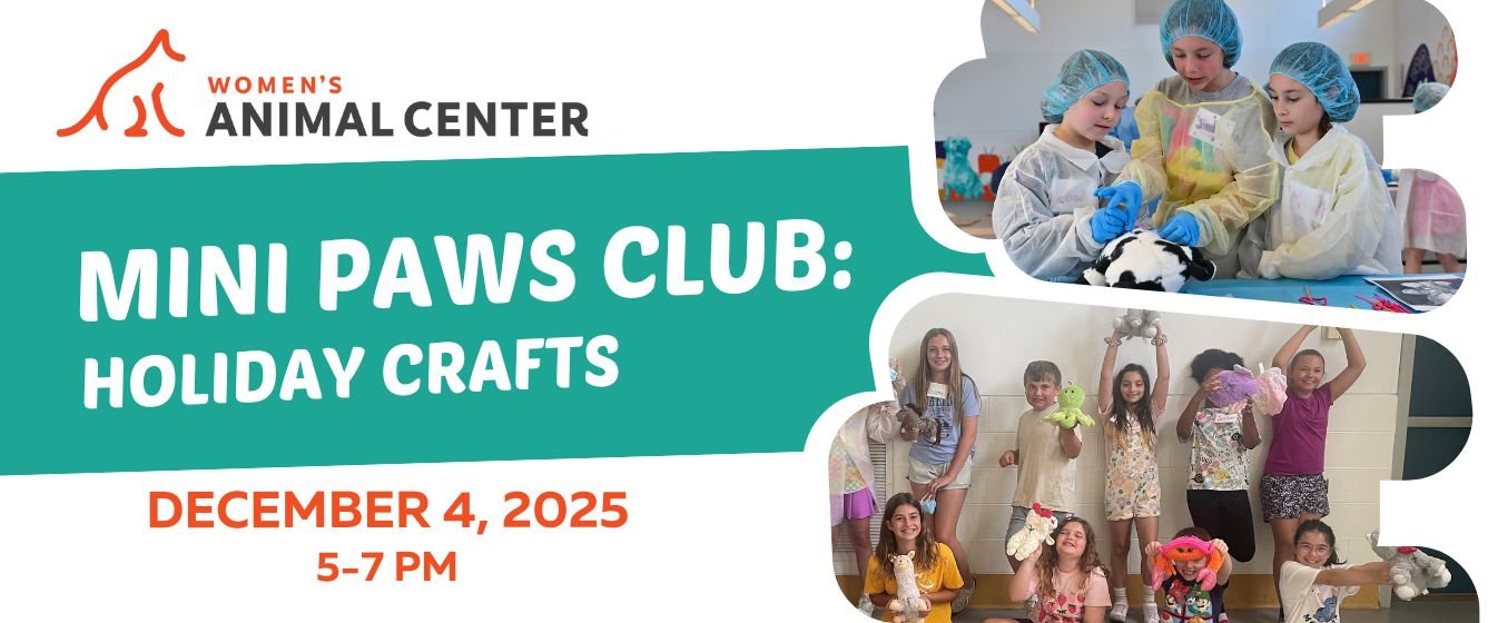 Mini Paws Club: Holiday Crafts. December 4, 2025. 5-7 PM.