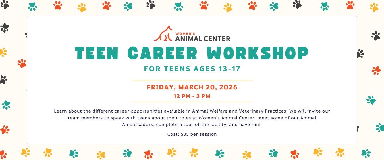 Teen Career Workshop. Friday, March 20, 2026. 12-3 PM.