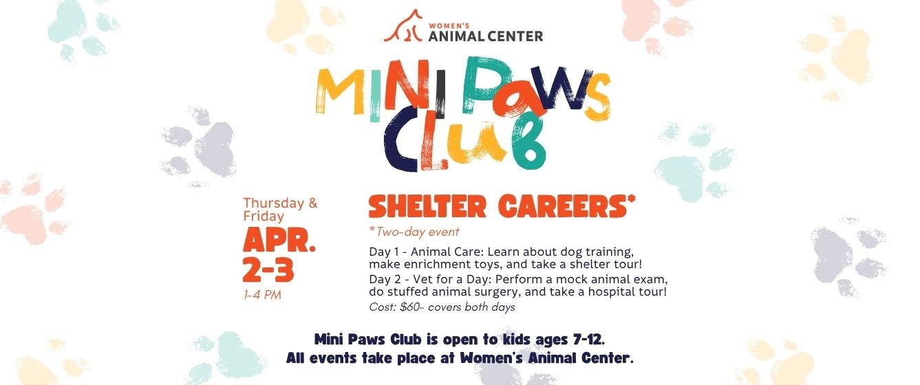 Mini Paws Shelter Careers, Thursday and Friday, April 2-3 2026.