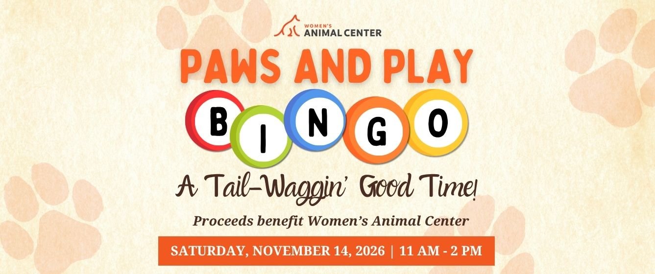 Paws and Play Bingo, a tail-waggin' good time! Saturday, November 14, 2026 from 11 AM-2 PM.