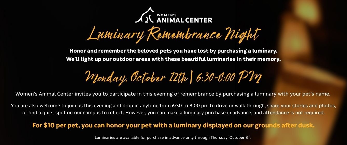 Luminary Remembrance Night. Monday, October 12 from 6:30-8:00 PM at Women's Animal Center.