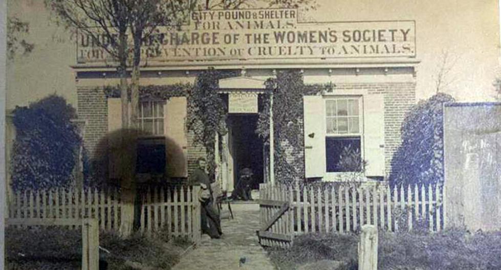 Womens animal shop shelter